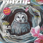 volzin14-1cover_001